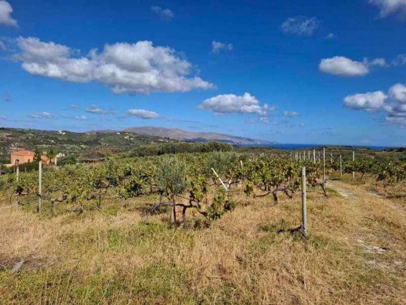 Elliniko Kreta, Elliniko: Grundstück mit Meerblick und hohen Baurechten zu verkaufen Grundstück kaufen